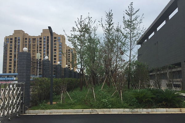 hth华体育官方入口：疾风知劲草 合力谋共赢 ——西安市装修业协会幕墙门窗专业委员会正式建立